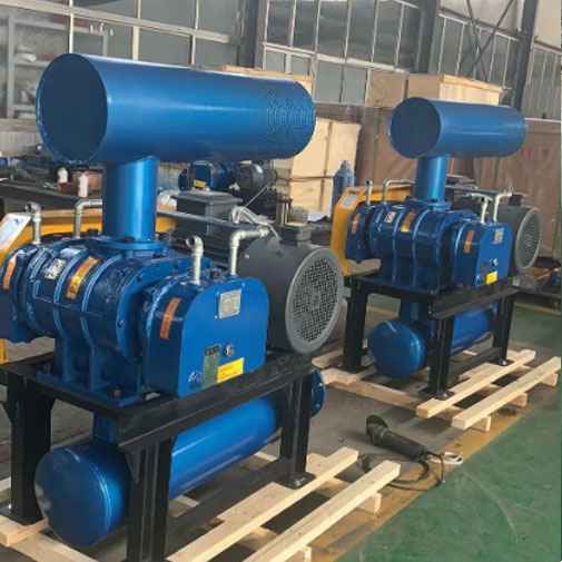 Ang Innovative Dense Type Roots Blower Nagbag-o sa Industrial Airflow Management