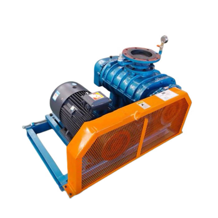 3 Lobes Blower Vacuum Pump Para sa Pakete sa Pagkaon