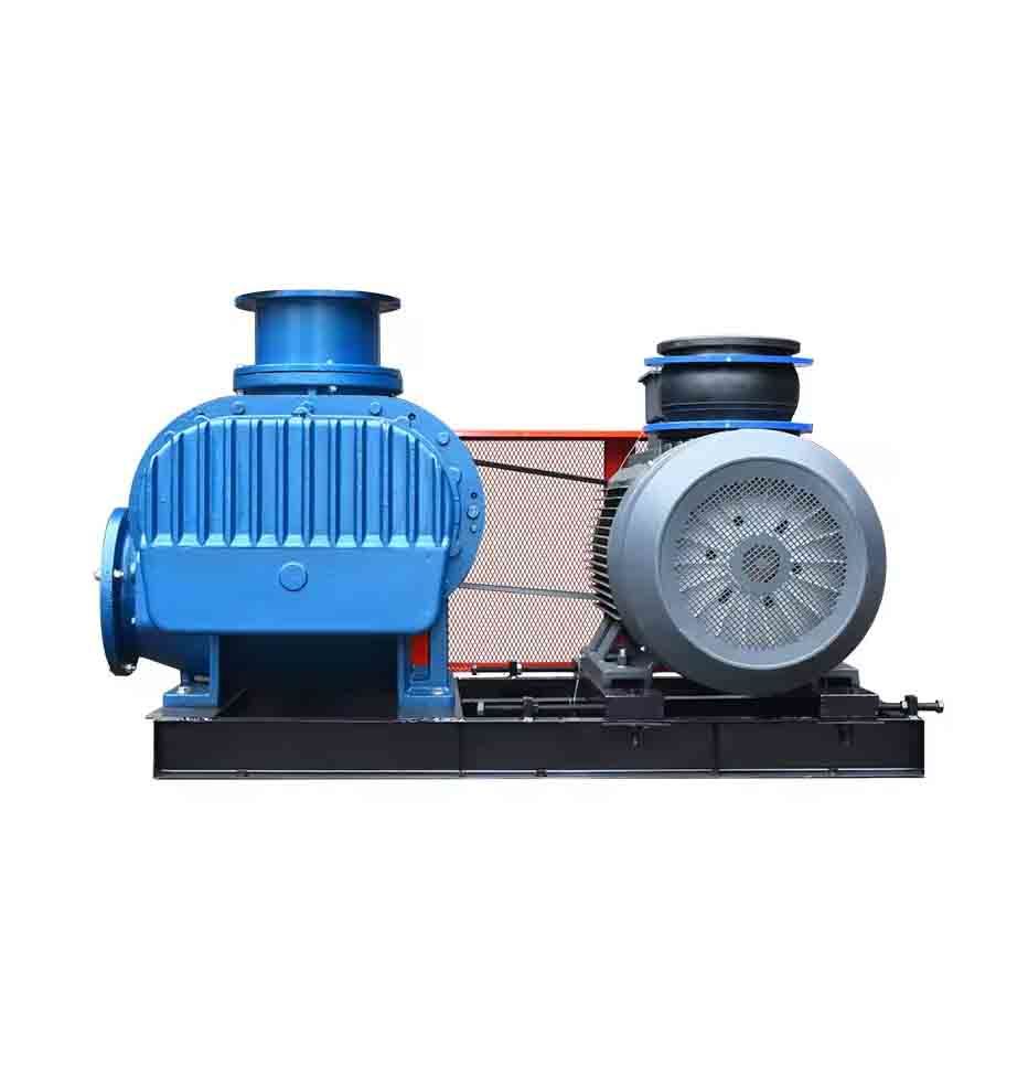Dense Type Roots Blower para sa Transportasyon sa Tanum