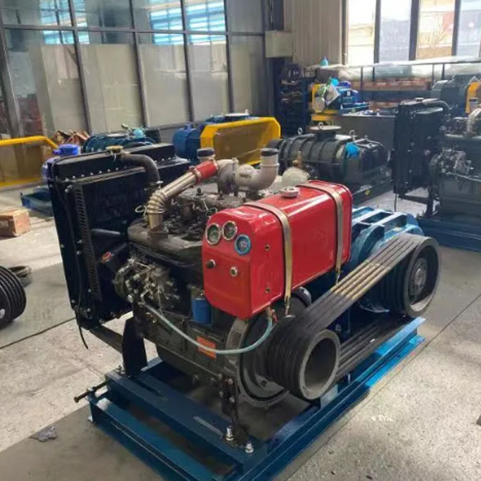 Diesel Low Pressure Roots Type sa Blower