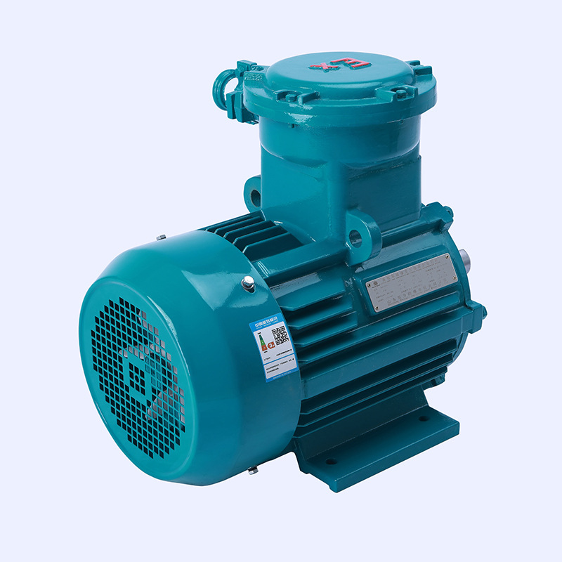 Explosion Proof Electrical Motor para sa mga Valve