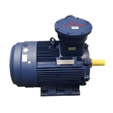 Explosion Proof Motor para sa Pag-alsa ug Metalurhiya