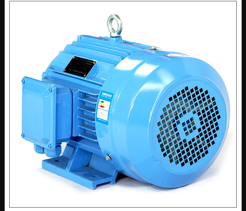 Taas nga Gahum AC Asynchronous Induction Motor