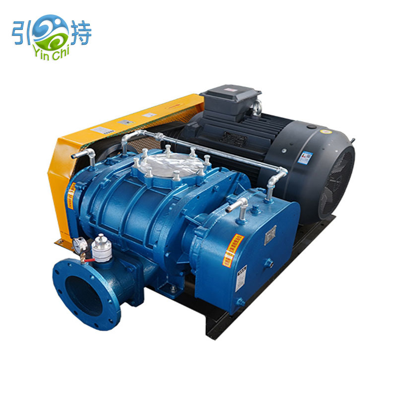 Negatibo nga Pressure Roots Vacuum Pump Blower