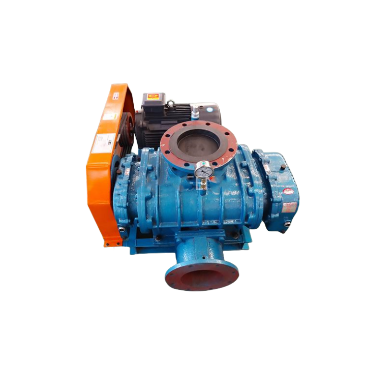 Pagputos sa Food Roots Vacuum Pump